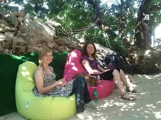 Hotell Green Lizard *